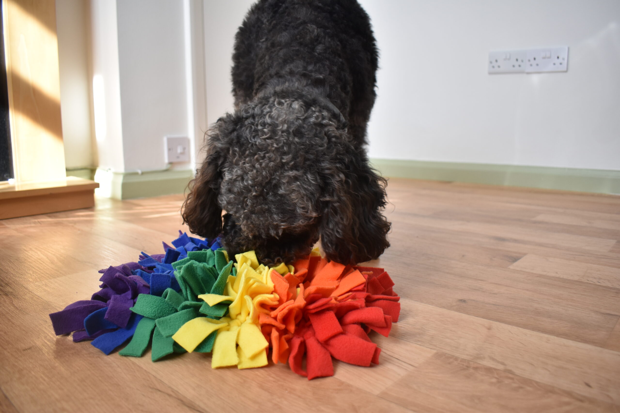 Rainbow snuffle mats