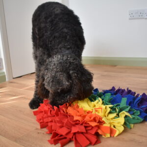 Rainbow snuffle mats
