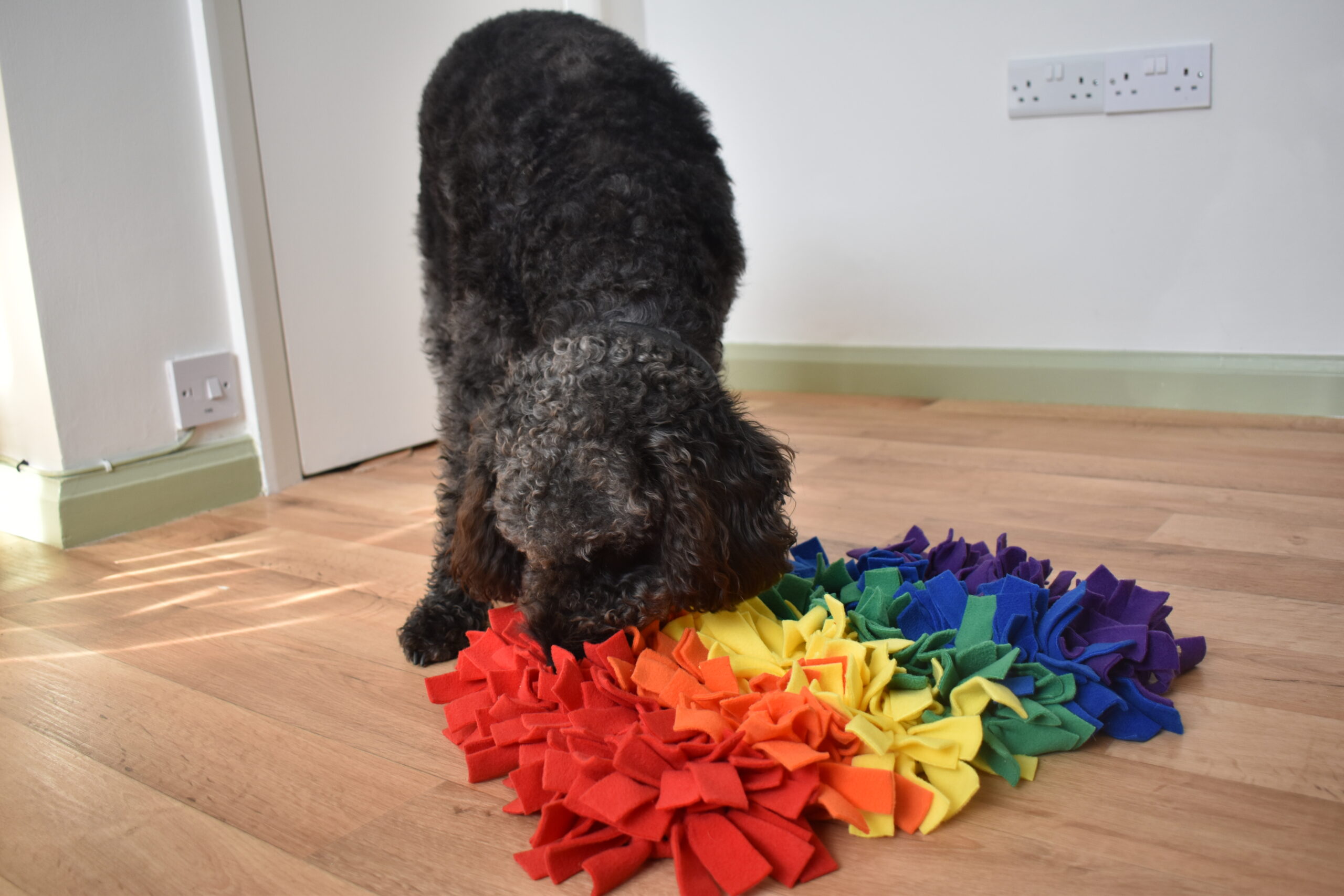 Custom snuffle mats, Large - Image 12