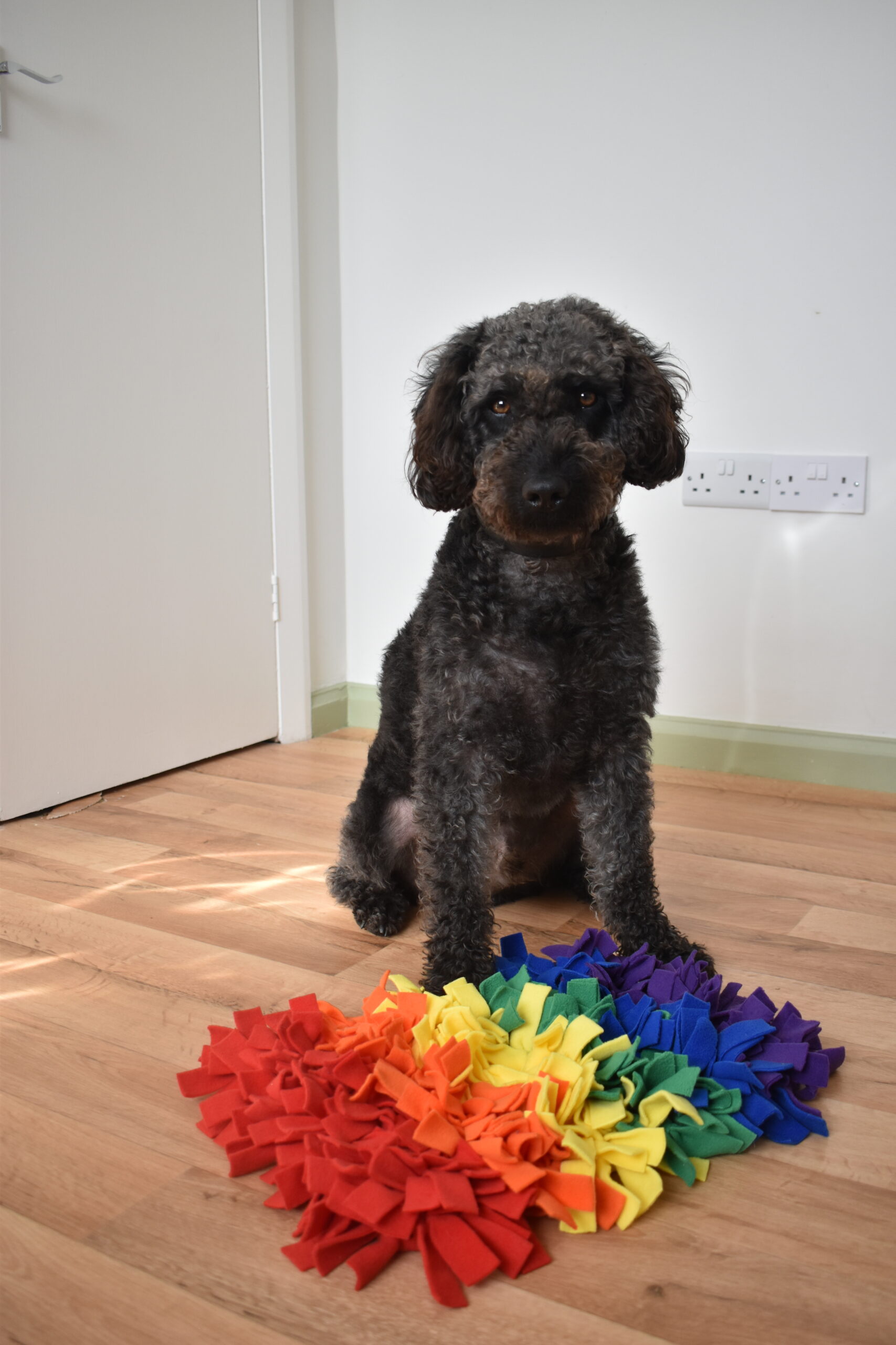 Dog sitting next to a large snuffle mat