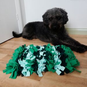 Labraddodle next to a large snuffle mat, the mat is as long as his body