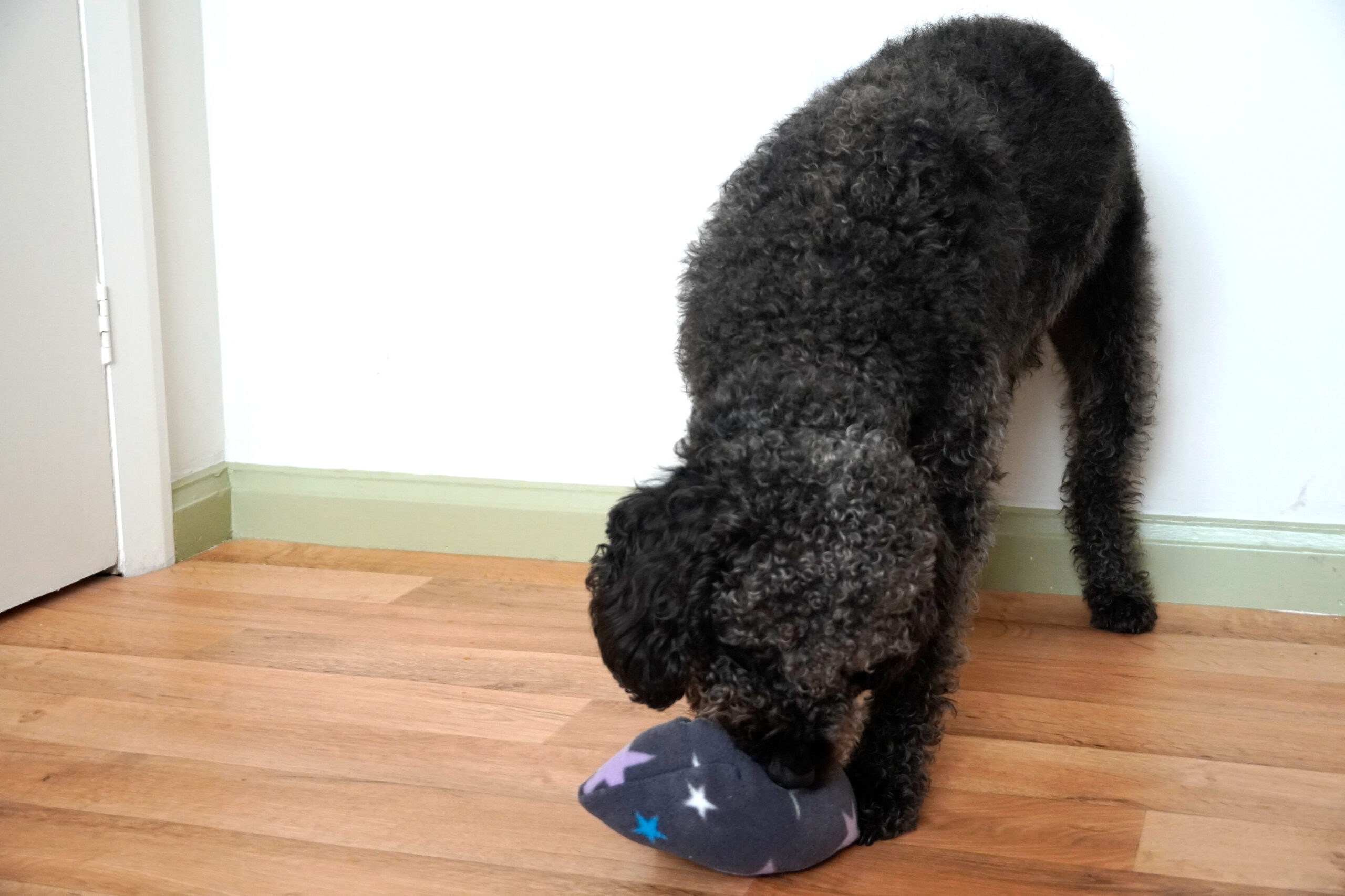 Multi-pouch - Image 16