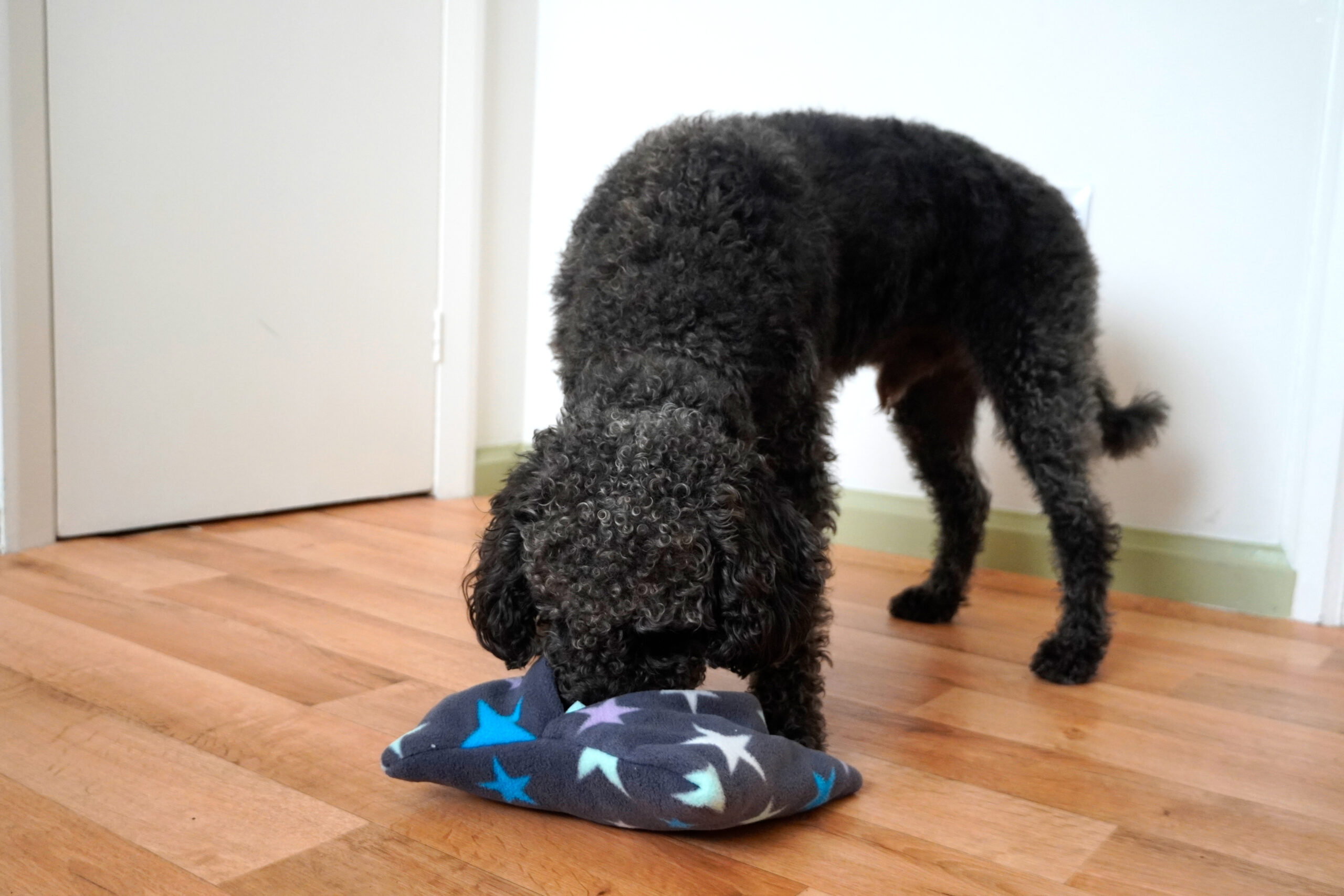 Multi-pouch - Image 15